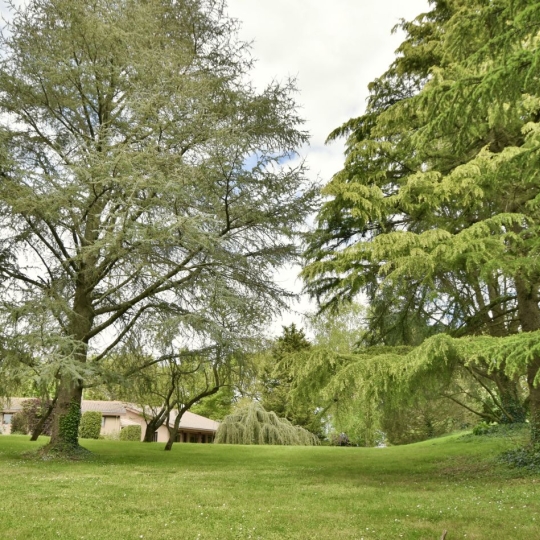  Agence Michel ROUIL : Maison / Villa | CHOLET (49300) | 267 m2 | 540 800 € 