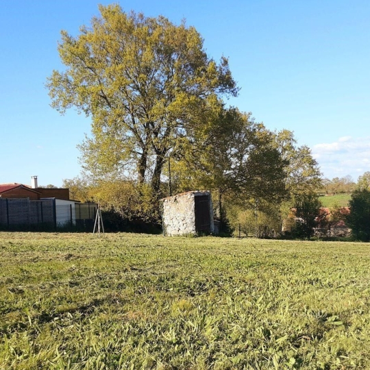  Agence Michel ROUIL : Terrain | MORTAGNE-SUR-SEVRE (85290) | 0 m2 | 126 000 € 