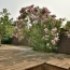 Agence Michel ROUIL : Maison / Villa | CHOLET (49300) | 48 m2 | 650 € 