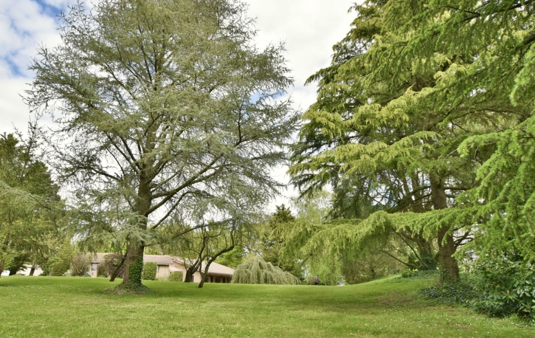 Agence Michel ROUIL : Maison / Villa | CHOLET (49300) | 267 m2 | 540 800 € 