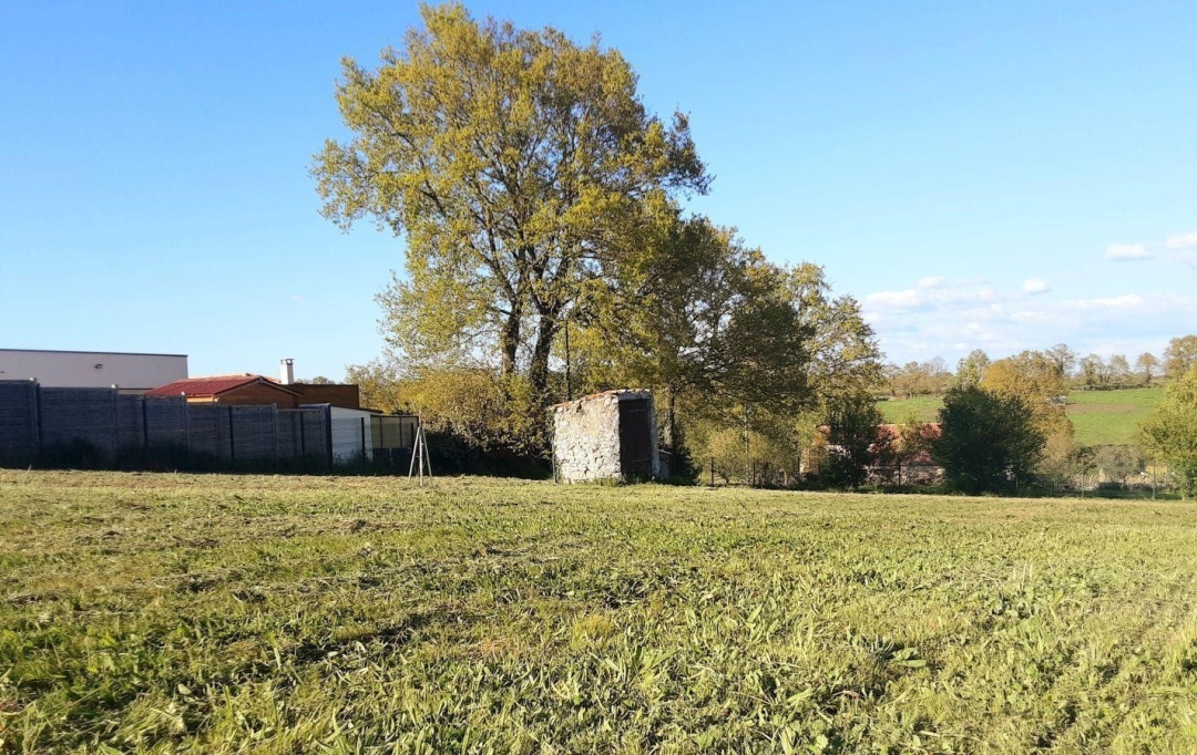 Agence Michel ROUIL : Terrain | MORTAGNE-SUR-SEVRE (85290) | 0 m2 | 126 000 € 